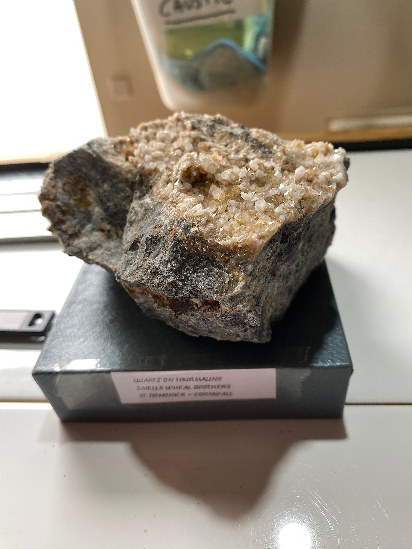 QUARTZ CRYSTALS ON TOURMALINE : SNELLS WHEAL BROTHERS, ST DOMONICK, CORNWALL. 565g MF5140
