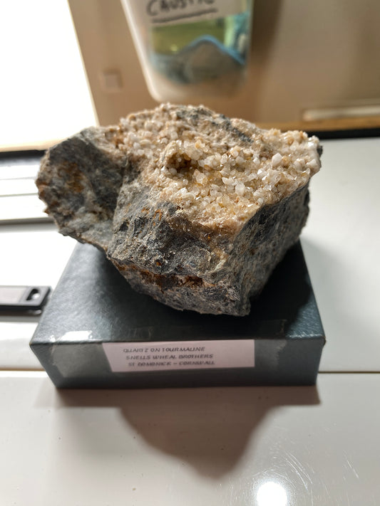 QUARTZ CRYSTALS ON TOURMALINE : SNELLS WHEAL BROTHERS, ST DOMONICK, CORNWALL. 565g MF5140