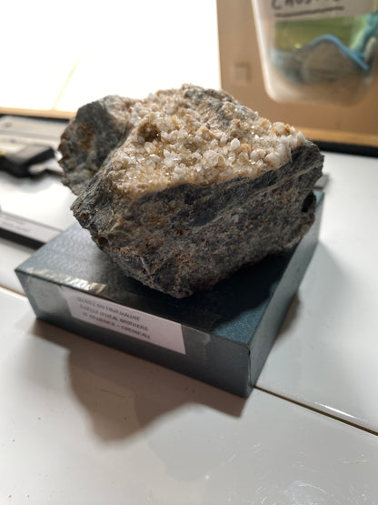 QUARTZ CRYSTALS ON TOURMALINE : SNELLS WHEAL BROTHERS, ST DOMONICK, CORNWALL. 565g MF5140