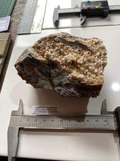 QUARTZ CRYSTALS ON TOURMALINE : SNELLS WHEAL BROTHERS, ST DOMONICK, CORNWALL. 565g MF5140