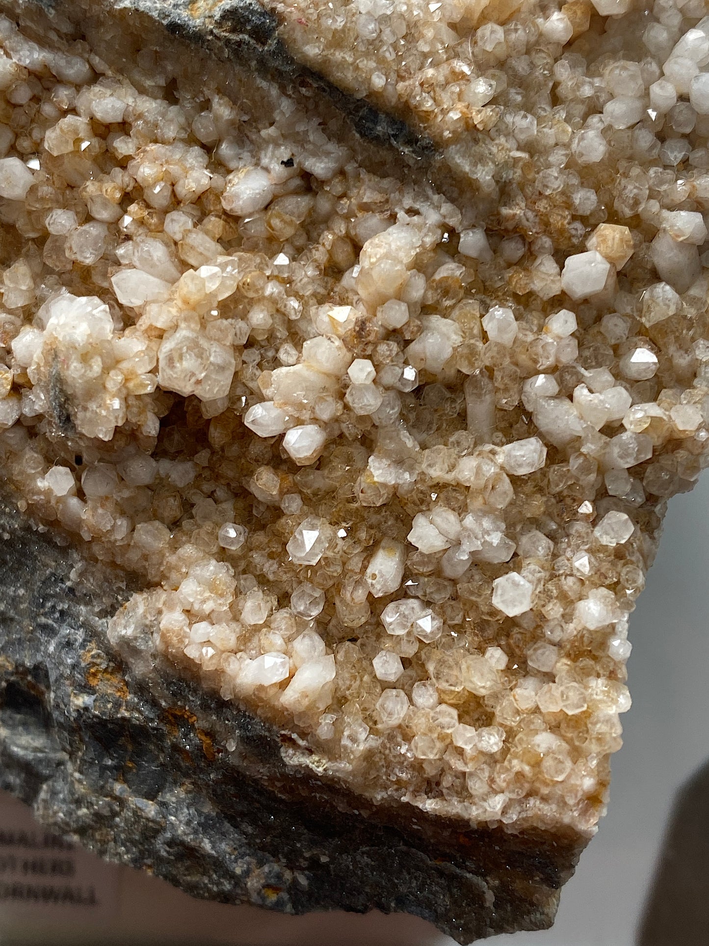 QUARTZ CRYSTALS ON TOURMALINE : SNELLS WHEAL BROTHERS, ST DOMONICK, CORNWALL. 565g MF5140