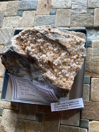 QUARTZ CRYSTALS ON TOURMALINE : SNELLS WHEAL BROTHERS, ST DOMONICK, CORNWALL. 565g MF5140