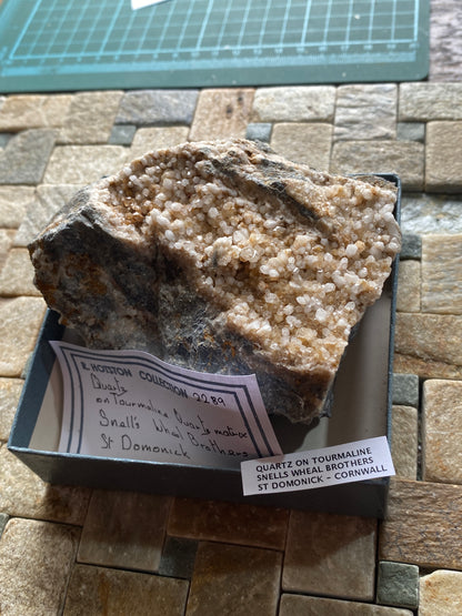 QUARTZ CRYSTALS ON TOURMALINE : SNELLS WHEAL BROTHERS, ST DOMONICK, CORNWALL. 565g MF5140