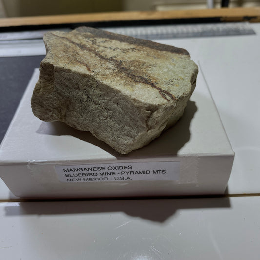 MANGANESE OXIDES WITH DENDRITES FROM BLUEBIRD MINE, USA 212g MF6734