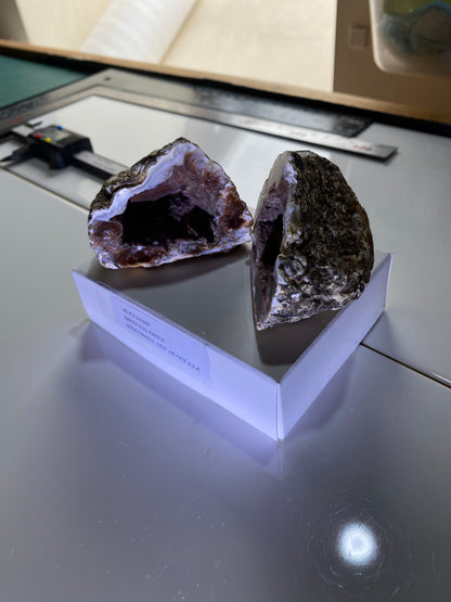 AGATE GEODE : BAKE EGG RANCH, LUNA COUNTY, NEW MEXICO, U.S.A.  193g. MF5141