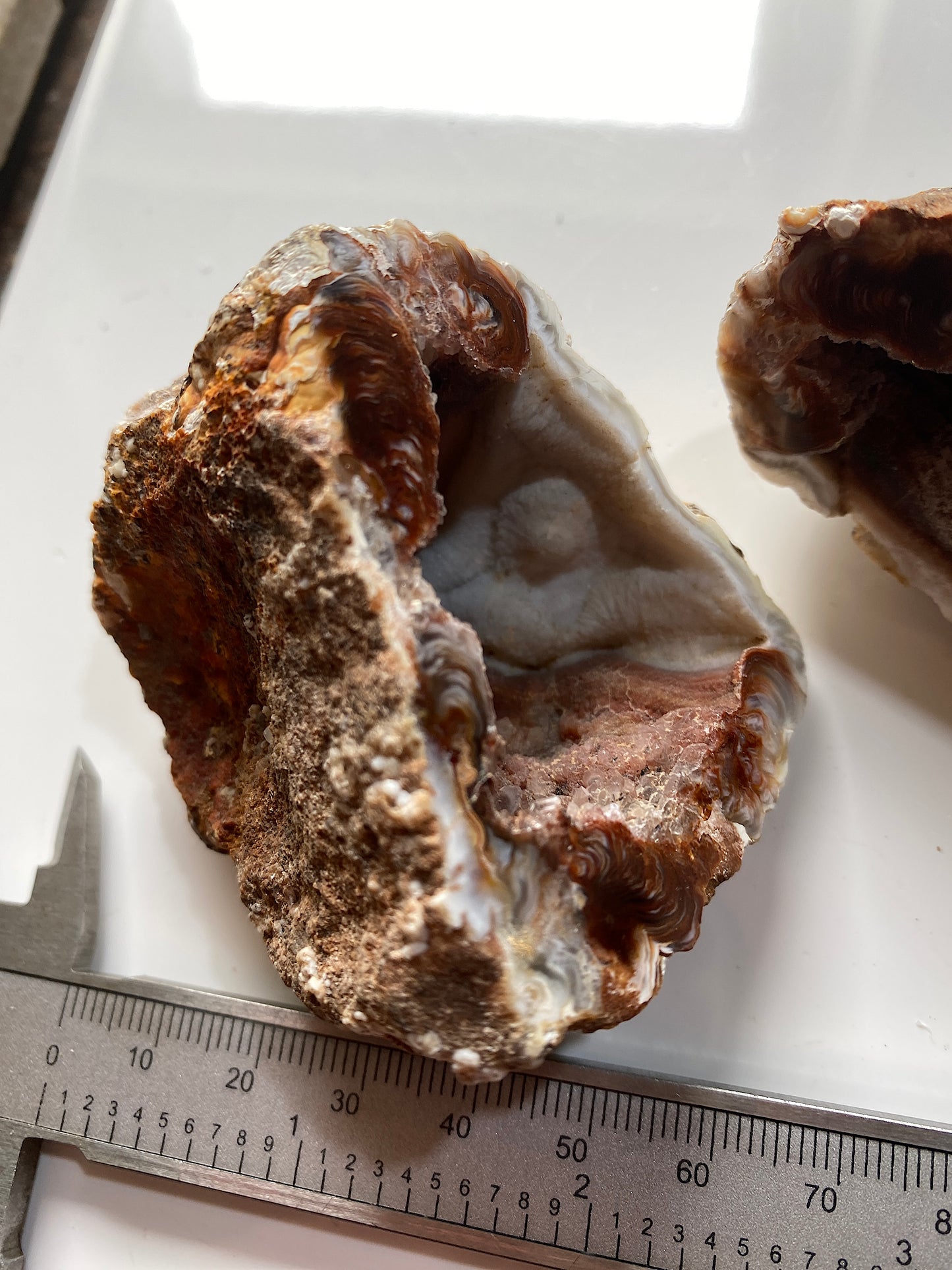 AGATE GEODE : BAKE EGG RANCH, LUNA COUNTY, NEW MEXICO, U.S.A.  193g. MF5141