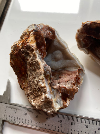 AGATE GEODE : BAKE EGG RANCH, LUNA COUNTY, NEW MEXICO, U.S.A.  193g. MF5141