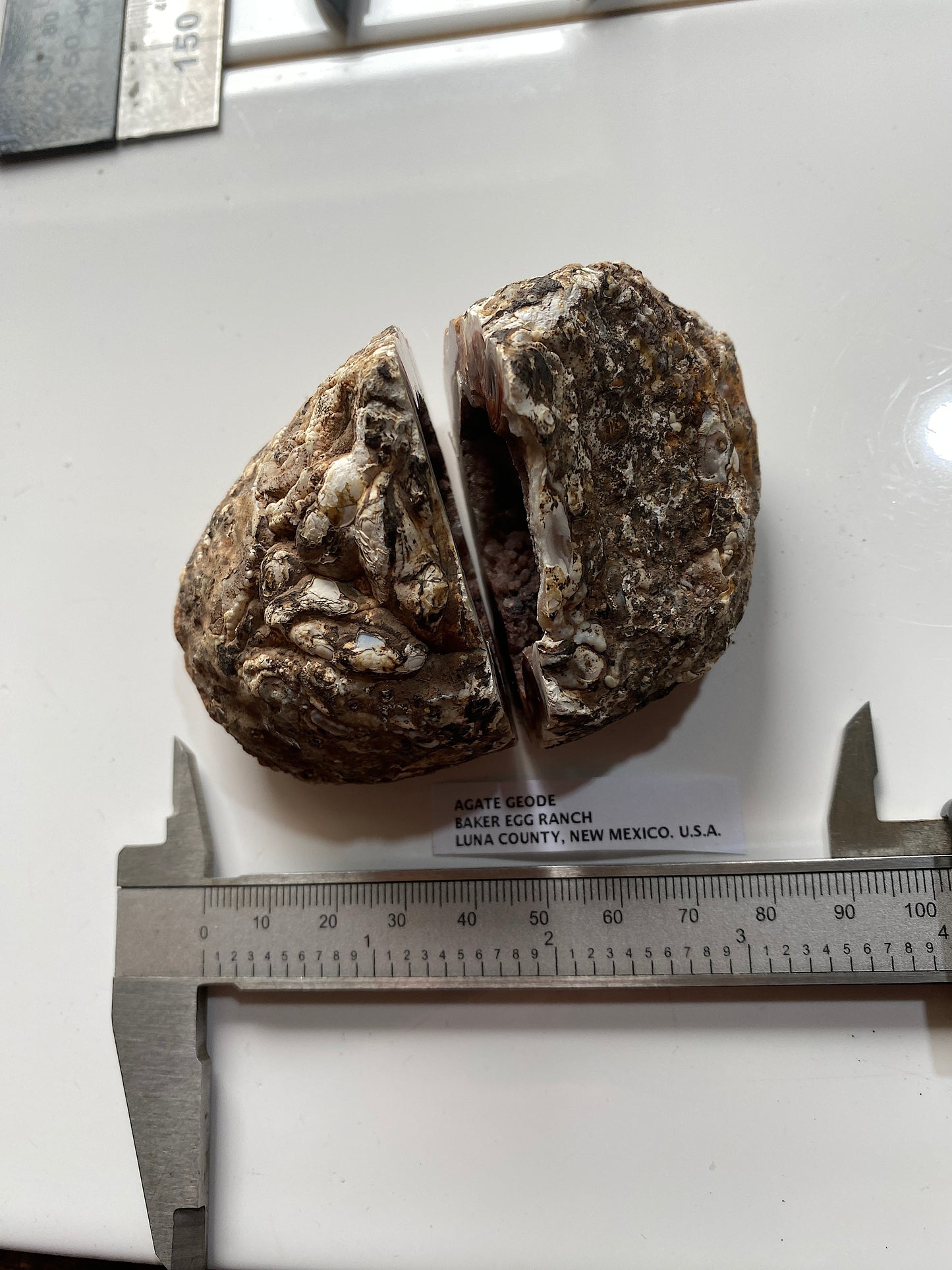 AGATE GEODE : BAKE EGG RANCH, LUNA COUNTY, NEW MEXICO, U.S.A.  193g. MF5141