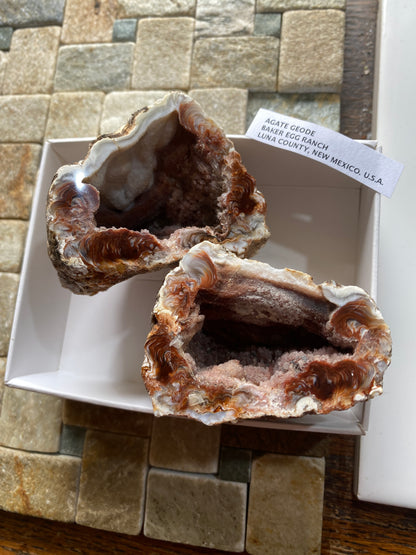 AGATE GEODE : BAKE EGG RANCH, LUNA COUNTY, NEW MEXICO, U.S.A.  193g. MF5141