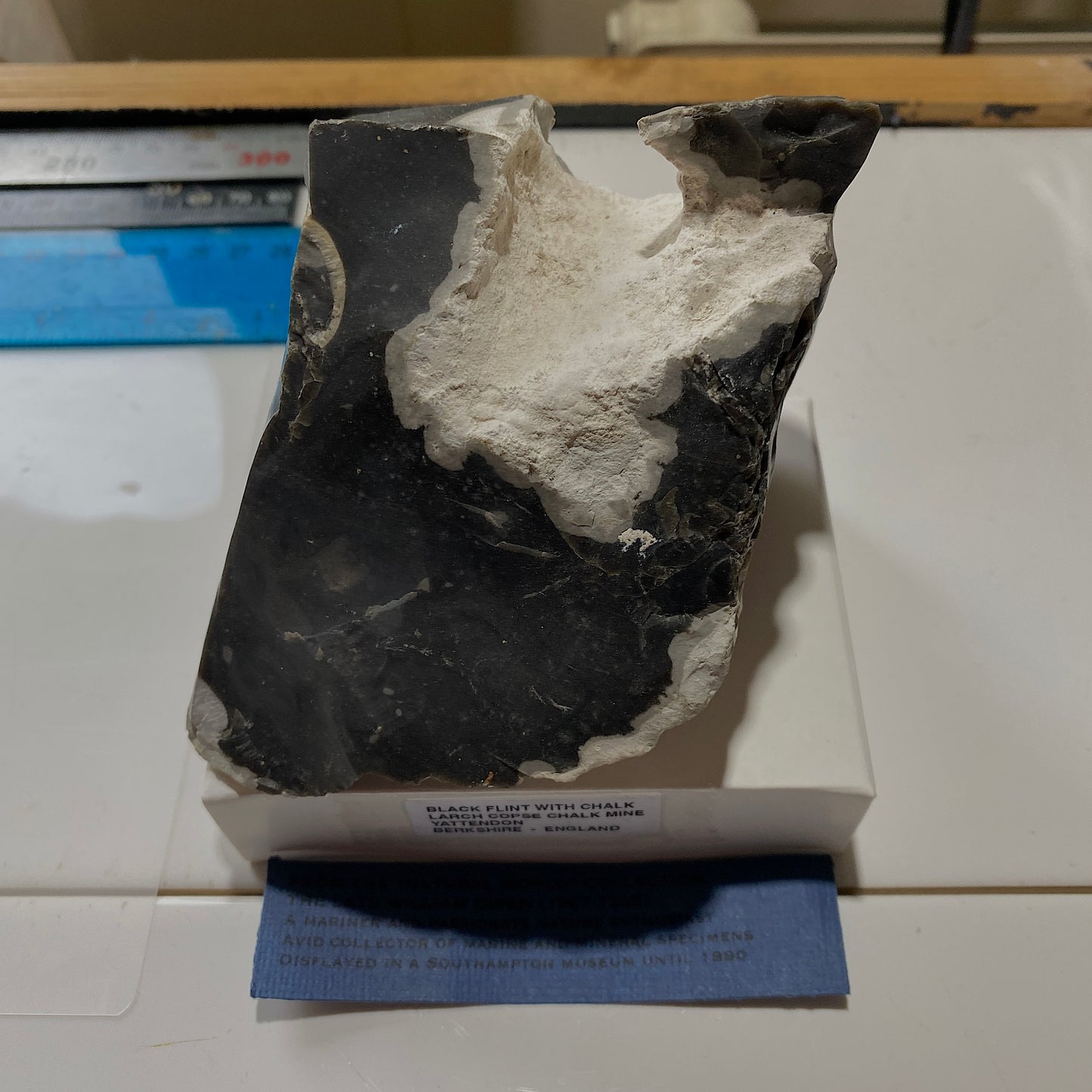 BLACK FLINT WITH CHALK : LARCH COPSE CHALK MINE, YATTENDON, BERKSHIRE, ENGLAND 652gm MF4516