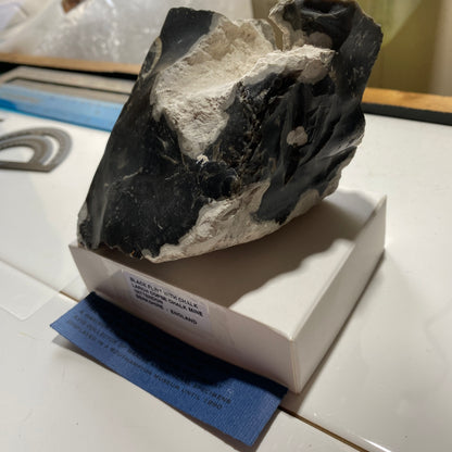 BLACK FLINT WITH CHALK : LARCH COPSE CHALK MINE, YATTENDON, BERKSHIRE, ENGLAND 652gm MF4516