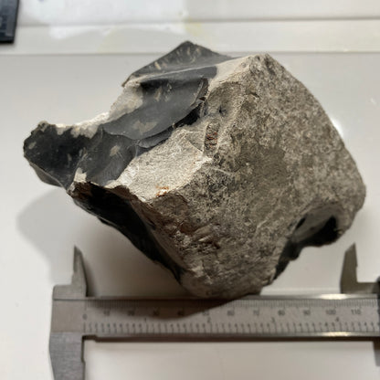 BLACK FLINT WITH CHALK : LARCH COPSE CHALK MINE, YATTENDON, BERKSHIRE, ENGLAND 652gm MF4516
