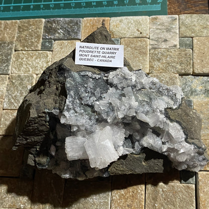 NATROLITE ON MATRIX - POUDRETTE QUARRY, MONT SAINT-HILAIRE, QUEBEC, CANADA 780g MF4517