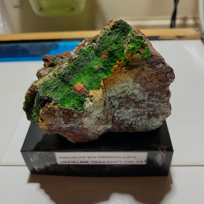 CONICHALCITE WITH CHRYSOCOLLA [ETC] : GOLD HILL MINE, TOOELE COUNTY, UTAH -U.S.A. 424g MF4518