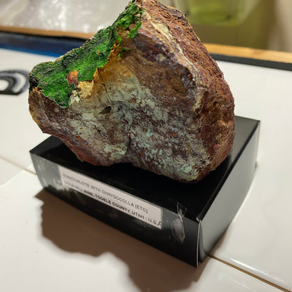 CONICHALCITE WITH CHRYSOCOLLA [ETC] : GOLD HILL MINE, TOOELE COUNTY, UTAH -U.S.A. 424g MF4518