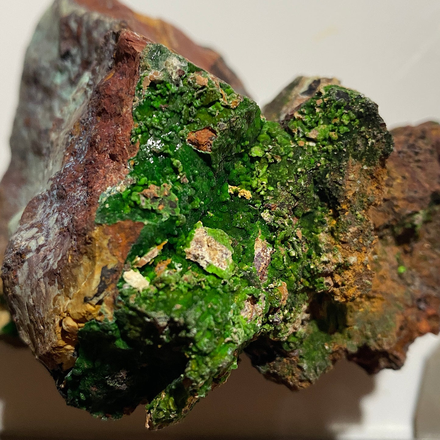 CONICHALCITE WITH CHRYSOCOLLA [ETC] : GOLD HILL MINE, TOOELE COUNTY, UTAH -U.S.A. 424g MF4518
