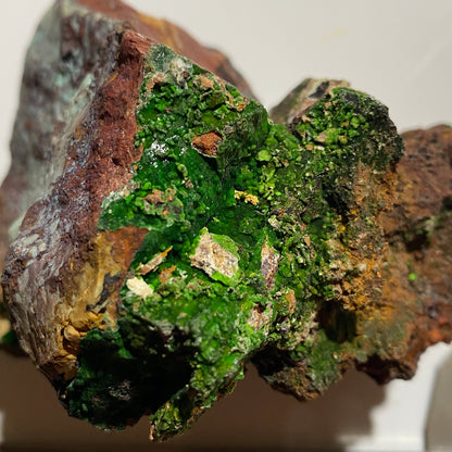 CONICHALCITE WITH CHRYSOCOLLA [ETC] : GOLD HILL MINE, TOOELE COUNTY, UTAH -U.S.A. 424g MF4518