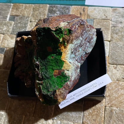 CONICHALCITE WITH CHRYSOCOLLA [ETC] : GOLD HILL MINE, TOOELE COUNTY, UTAH -U.S.A. 424g MF4518