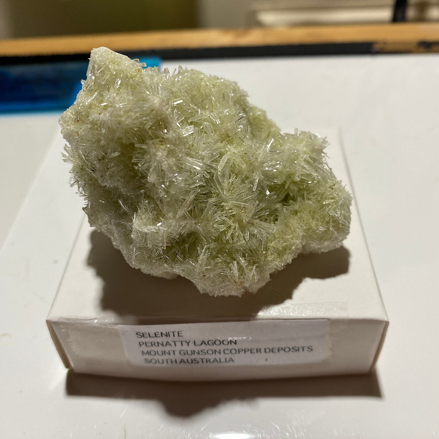 SELENITE : PERNATTY LAGOON, MOUNT GUNSON COPPER DEPOSIT, SOUTH AUSTRALIA 45g MF4519