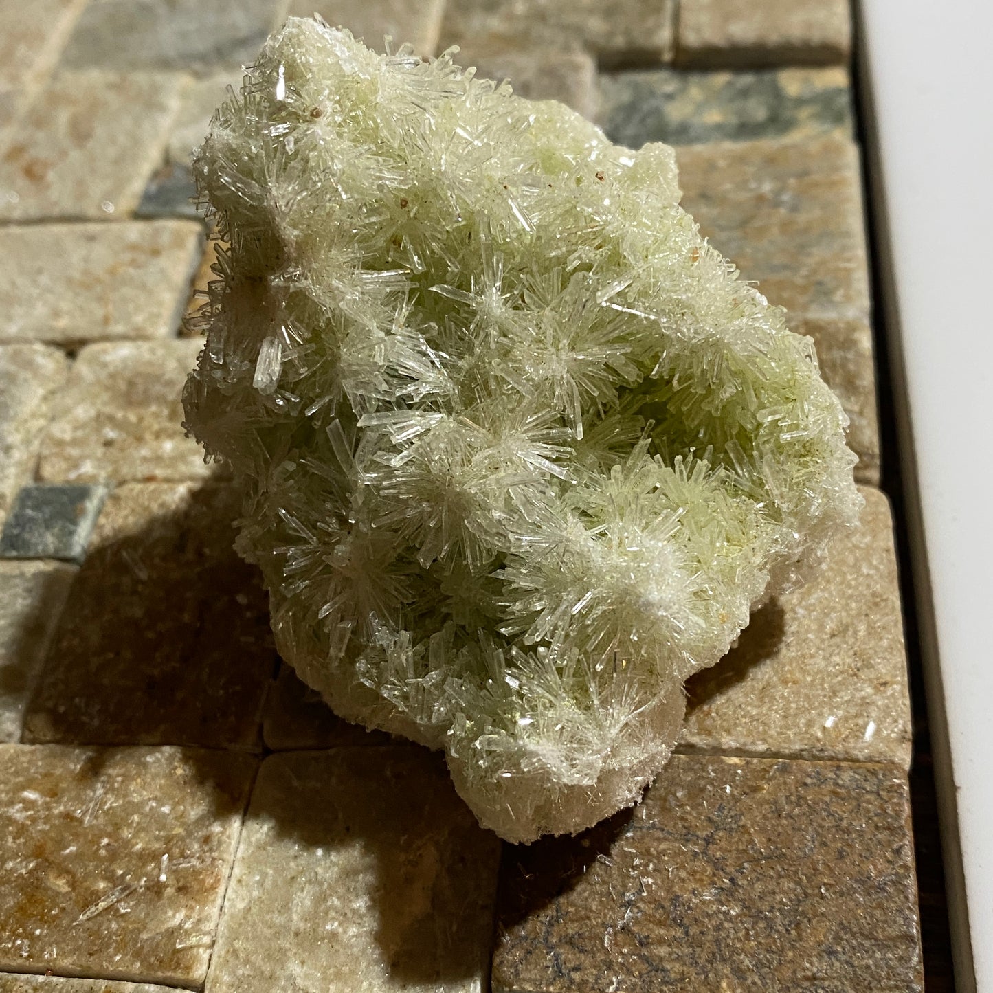 SELENITE : PERNATTY LAGOON, MOUNT GUNSON COPPER DEPOSIT, SOUTH AUSTRALIA 45g MF4519