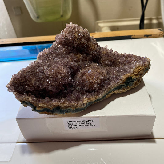 AMETHYST QUARTZ CRYSTAL ASSEMBLAGE - AMETISTA DO SUL, BRAZIL 419g MF4520
