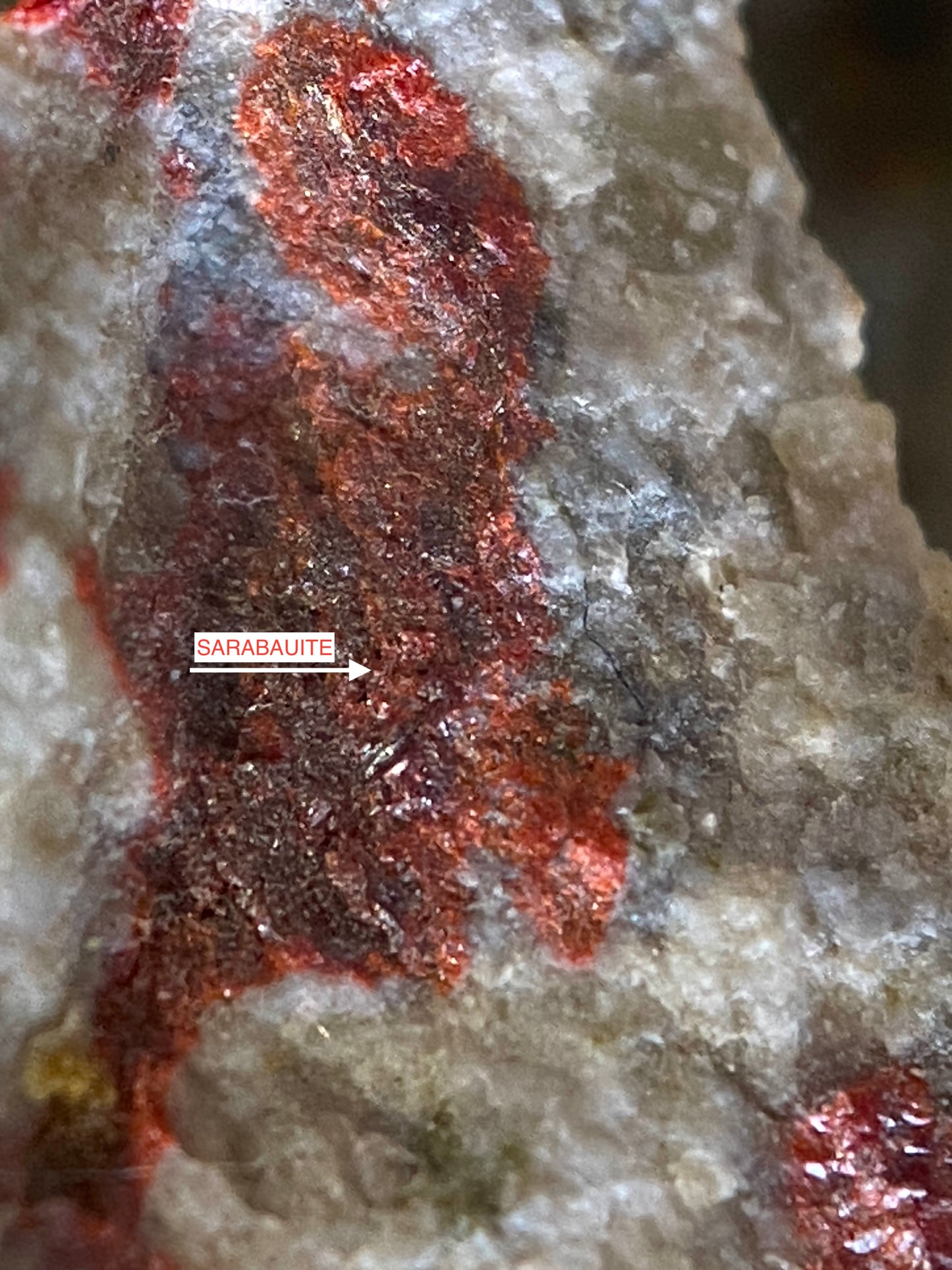 RARE SARABAUITE : SARABAU MINE, KUCHING, SARAWAK, MALAYSIA  4g  MF5156