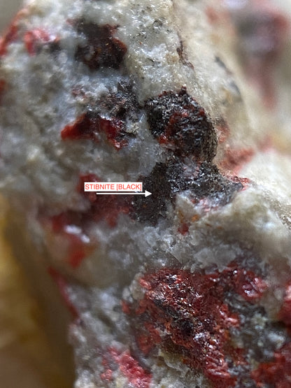 RARE SARABAUITE : SARABAU MINE, KUCHING, SARAWAK, MALAYSIA  4g  MF5156
