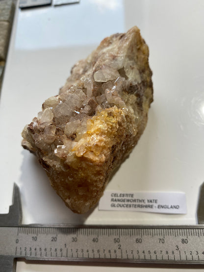 CELESTITE : RANGEWORTHY, YATE, GLOUCESTERSHIRE, ENGLAND 355g. MF5153