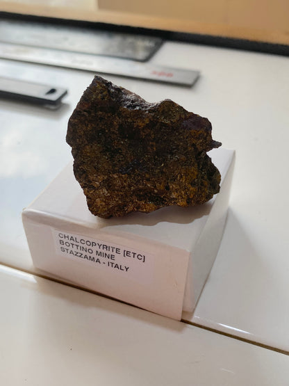 CHALCOPYRITE : BOTTINO MINE, STAZZEMA, TUSCANY, ITALY  49g MF5158