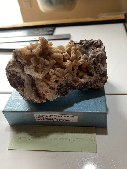 STILBITE AFTER NATROLITE RARE SPECIMEN FROM DEAN QUARRY, CORNWALL  211g MF5159