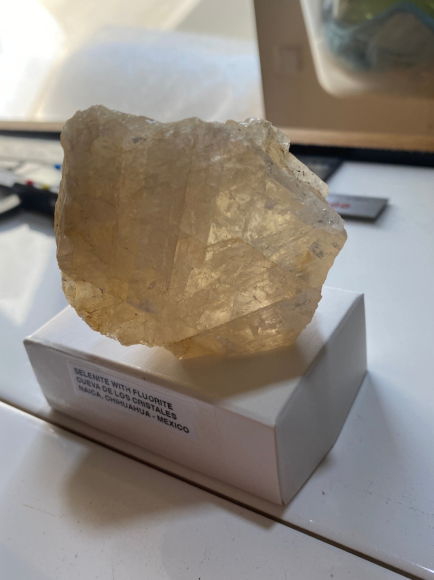 SELENITE WITH FLUORITE [UNUSUAL] : CUEVA DE LOS CRISTALES : CHIHUAHUA, MEXICO 217g MF5161