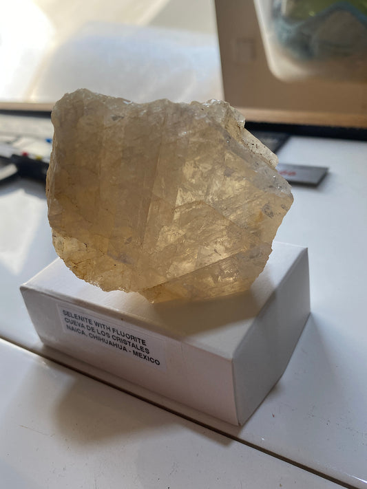 SELENITE WITH FLUORITE [UNUSUAL] : CUEVA DE LOS CRISTALES : CHIHUAHUA, MEXICO 217g MF5161