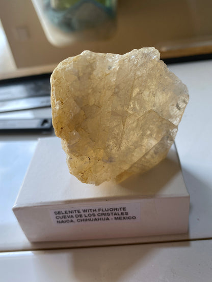 SELENITE WITH FLUORITE [UNUSUAL] : CUEVA DE LOS CRISTALES : CHIHUAHUA, MEXICO 217g MF5161