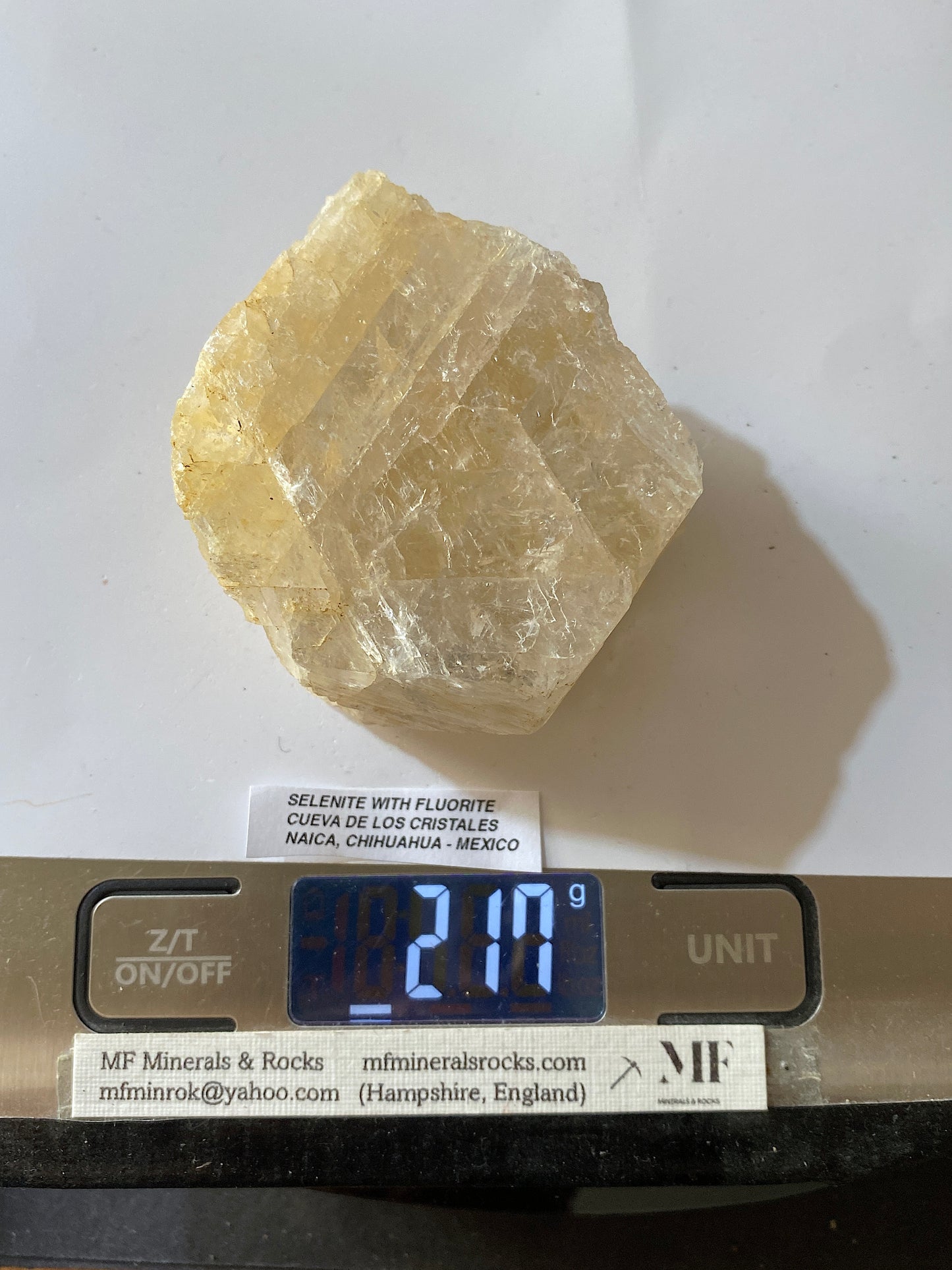 SELENITE WITH FLUORITE [UNUSUAL] : CUEVA DE LOS CRISTALES : CHIHUAHUA, MEXICO 217g MF5161