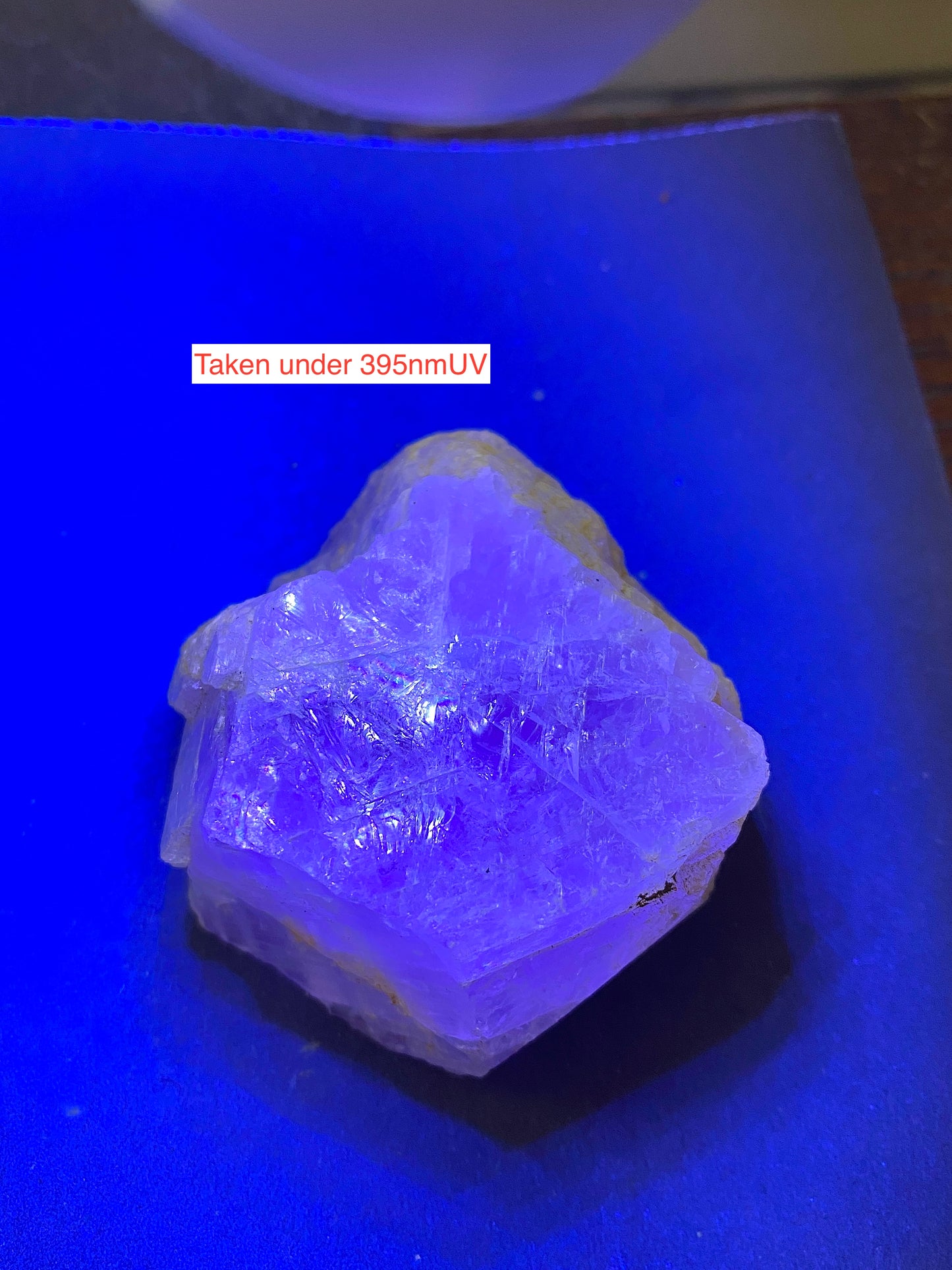 SELENITE WITH FLUORITE [UNUSUAL] : CUEVA DE LOS CRISTALES : CHIHUAHUA, MEXICO 217g MF5161