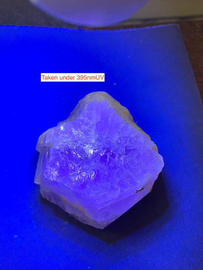 SELENITE WITH FLUORITE [UNUSUAL] : CUEVA DE LOS CRISTALES : CHIHUAHUA, MEXICO 217g MF5161