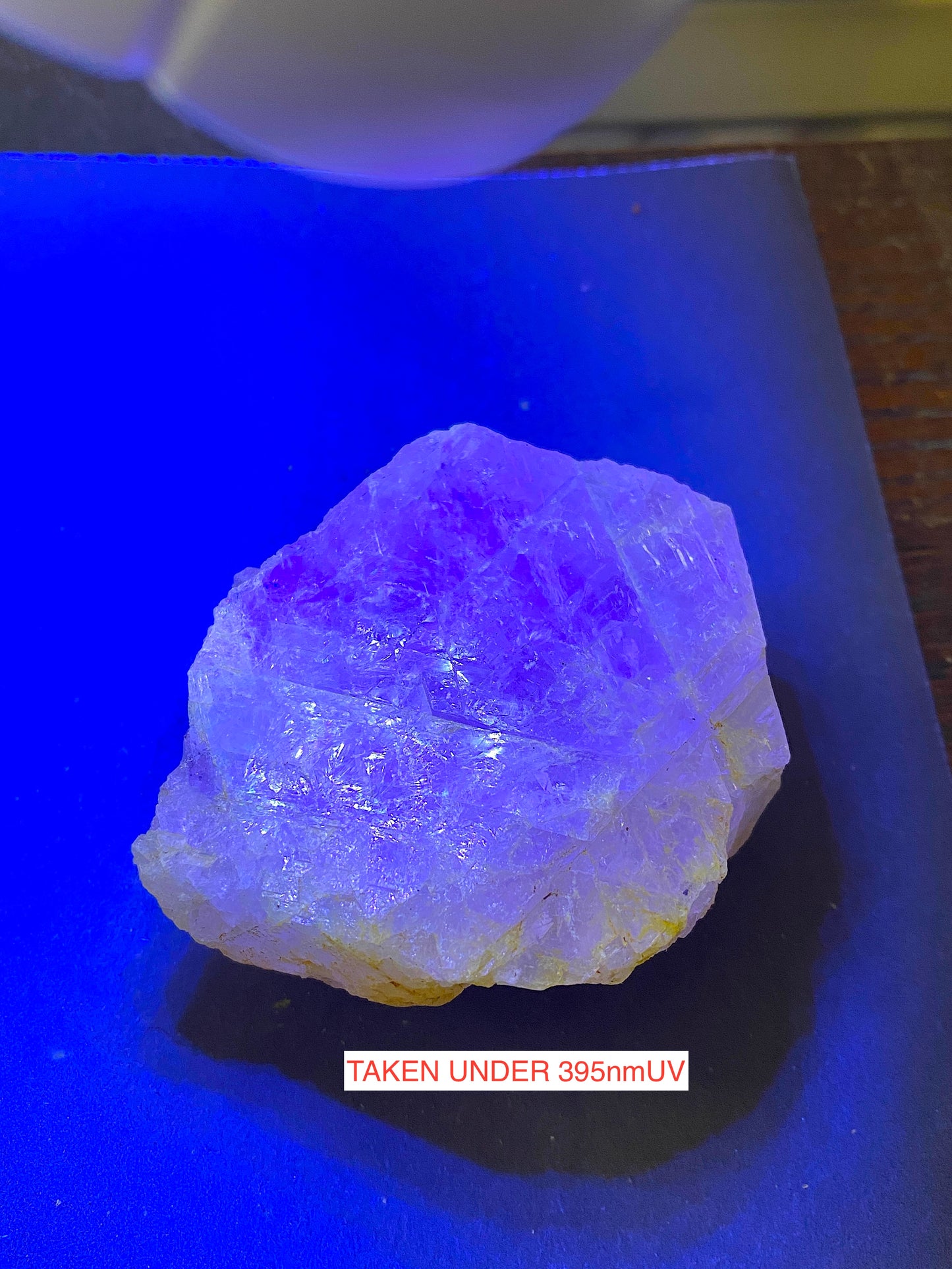 SELENITE WITH FLUORITE [UNUSUAL] : CUEVA DE LOS CRISTALES : CHIHUAHUA, MEXICO 217g MF5161