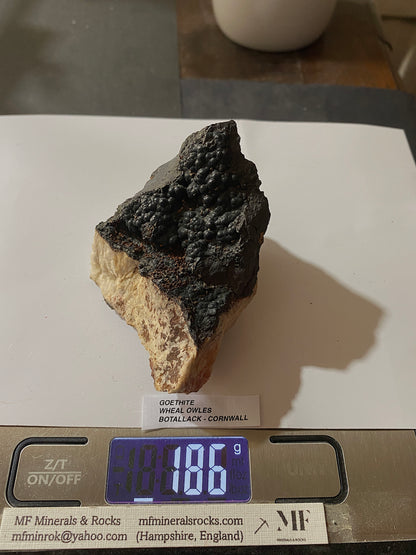 GOETHITE : WHEAL OWLES, BOTALLACK, CORNWALL, ENGLAND  186g MF5163