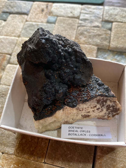 GOETHITE : WHEAL OWLES, BOTALLACK, CORNWALL, ENGLAND  186g MF5163