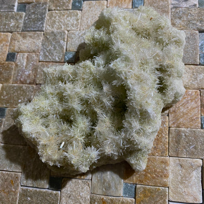 SELENITE - PERNATTY LAGOON, MOUNT GUNSON COPPER DEPOSITS, SOUTH AUSTRALIA 211g MF4522