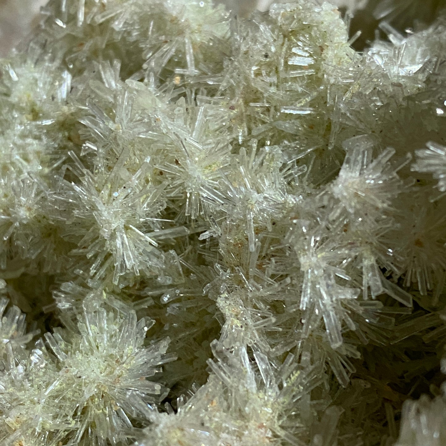 SELENITE - PERNATTY LAGOON, MOUNT GUNSON COPPER DEPOSITS, SOUTH AUSTRALIA 211g MF4522