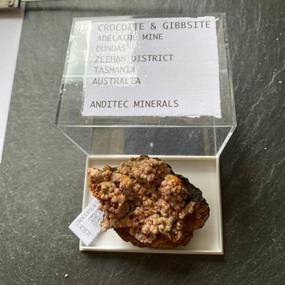 CROICOITE WITH GIBBSITE - ADELAIDE MINE, TASMANIA 90g MF1949