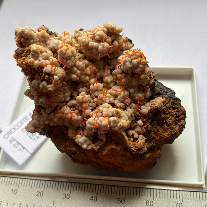 CROICOITE WITH GIBBSITE - ADELAIDE MINE, TASMANIA 90g MF1949