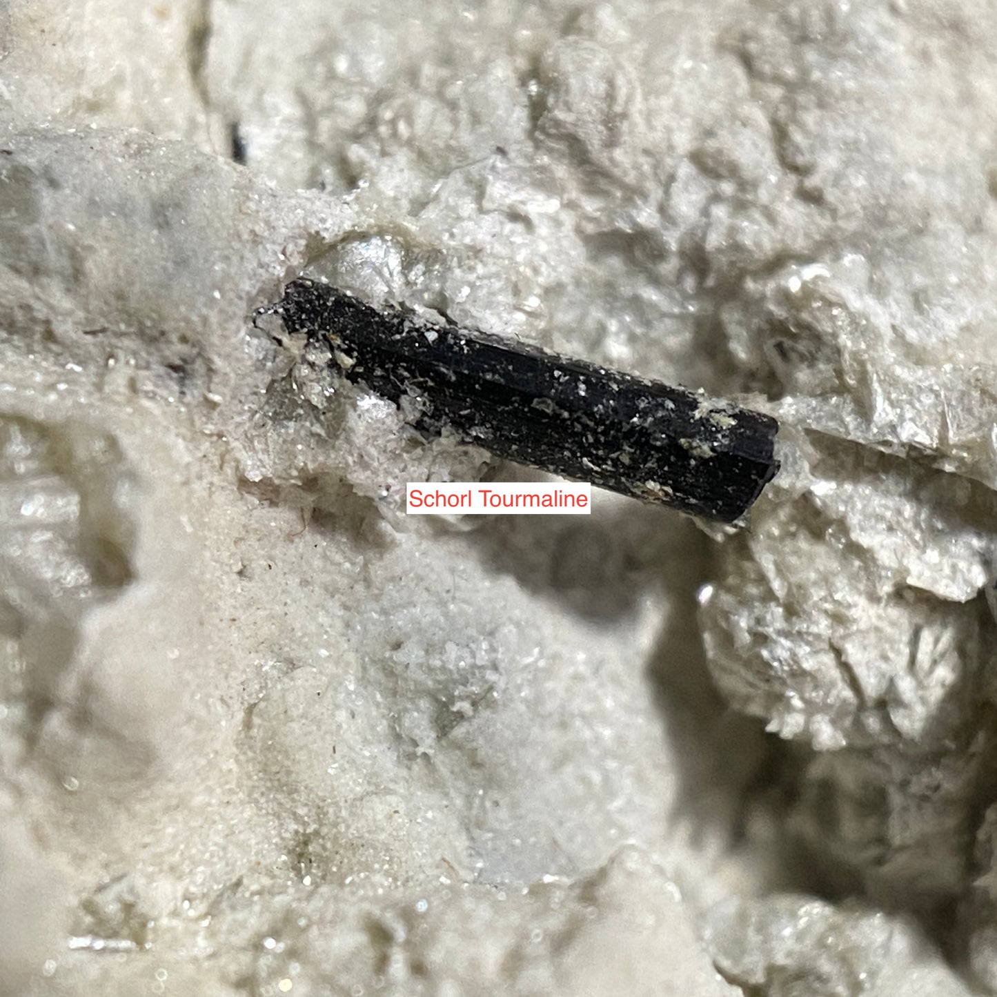 ALBITE/MICA WITH TRACES AQUAMARINE & TOURMALINE ETC : SHENGUS, ROUNDU DISTRICT, GILGIT-BALTISTAN.PAKISTAN