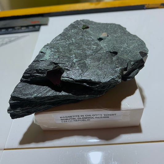 MAGNETITE CRYSTALS IN CHLORITE SCHIST : SOBUTIN, OLOMOUL REGION, CZECH REPUBLIC 302g MF4525