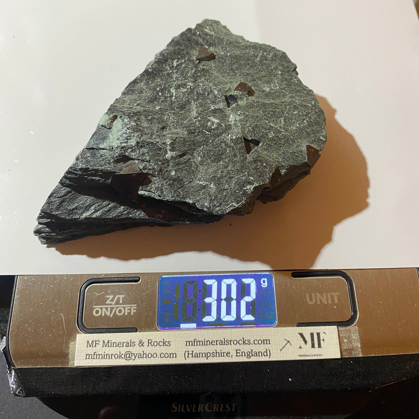 MAGNETITE CRYSTALS IN CHLORITE SCHIST : SOBUTIN, OLOMOUL REGION, CZECH REPUBLIC 302g MF4525