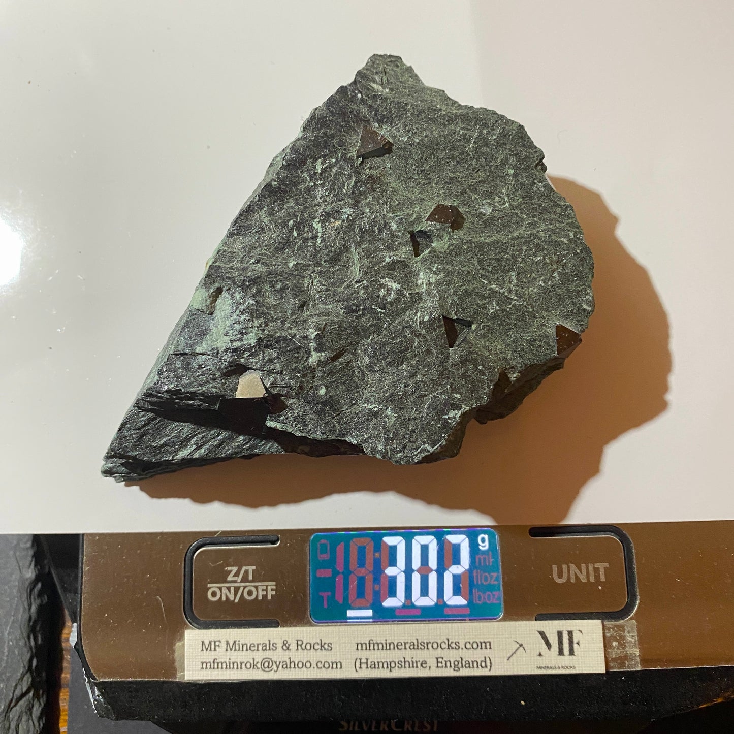 MAGNETITE CRYSTALS IN CHLORITE SCHIST : SOBUTIN, OLOMOUL REGION, CZECH REPUBLIC 302g MF4525