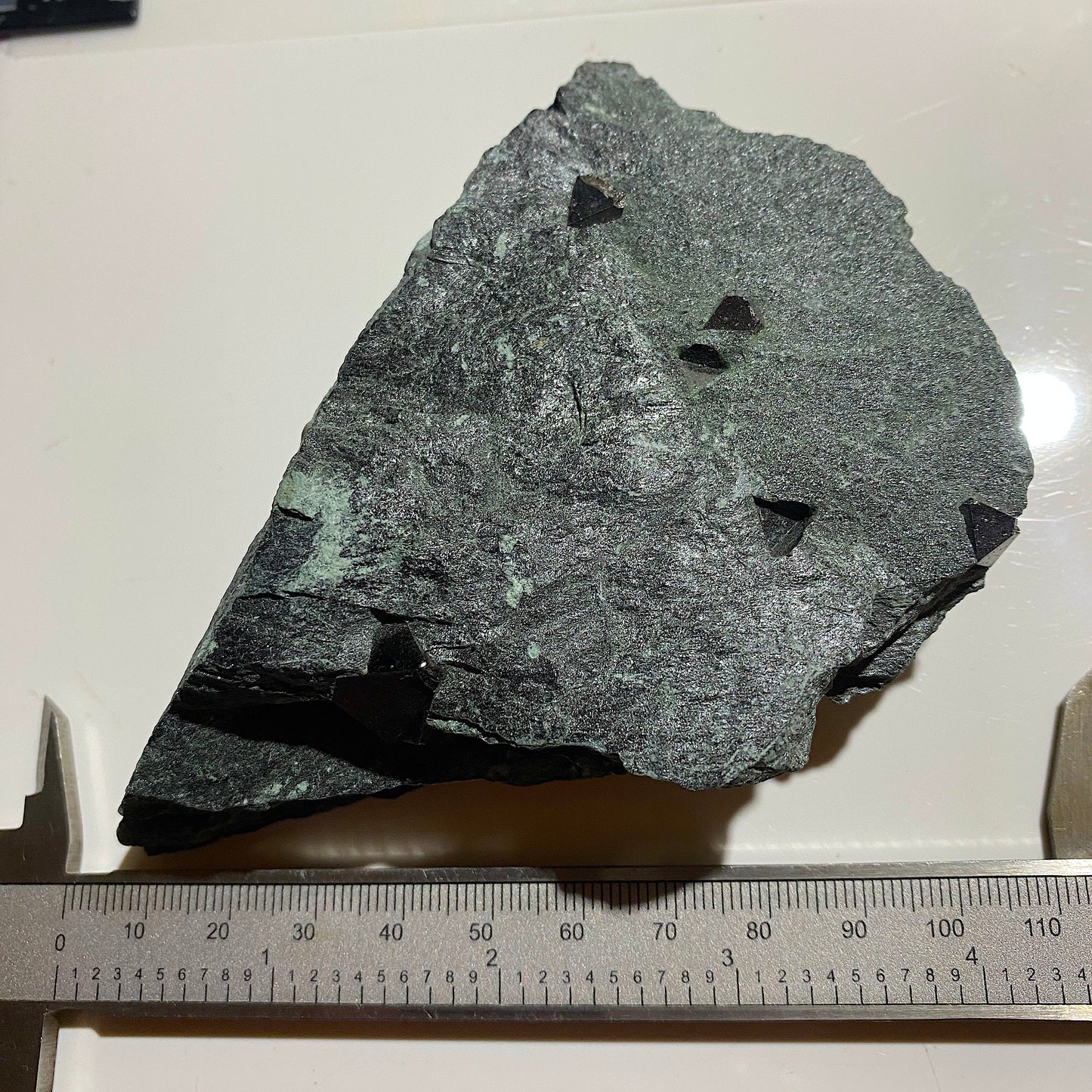 MAGNETITE CRYSTALS IN CHLORITE SCHIST : SOBUTIN, OLOMOUL REGION, CZECH REPUBLIC 302g MF4525