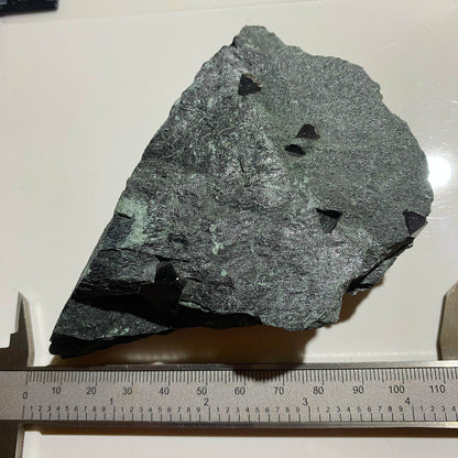 MAGNETITE CRYSTALS IN CHLORITE SCHIST : SOBUTIN, OLOMOUL REGION, CZECH REPUBLIC 302g MF4525