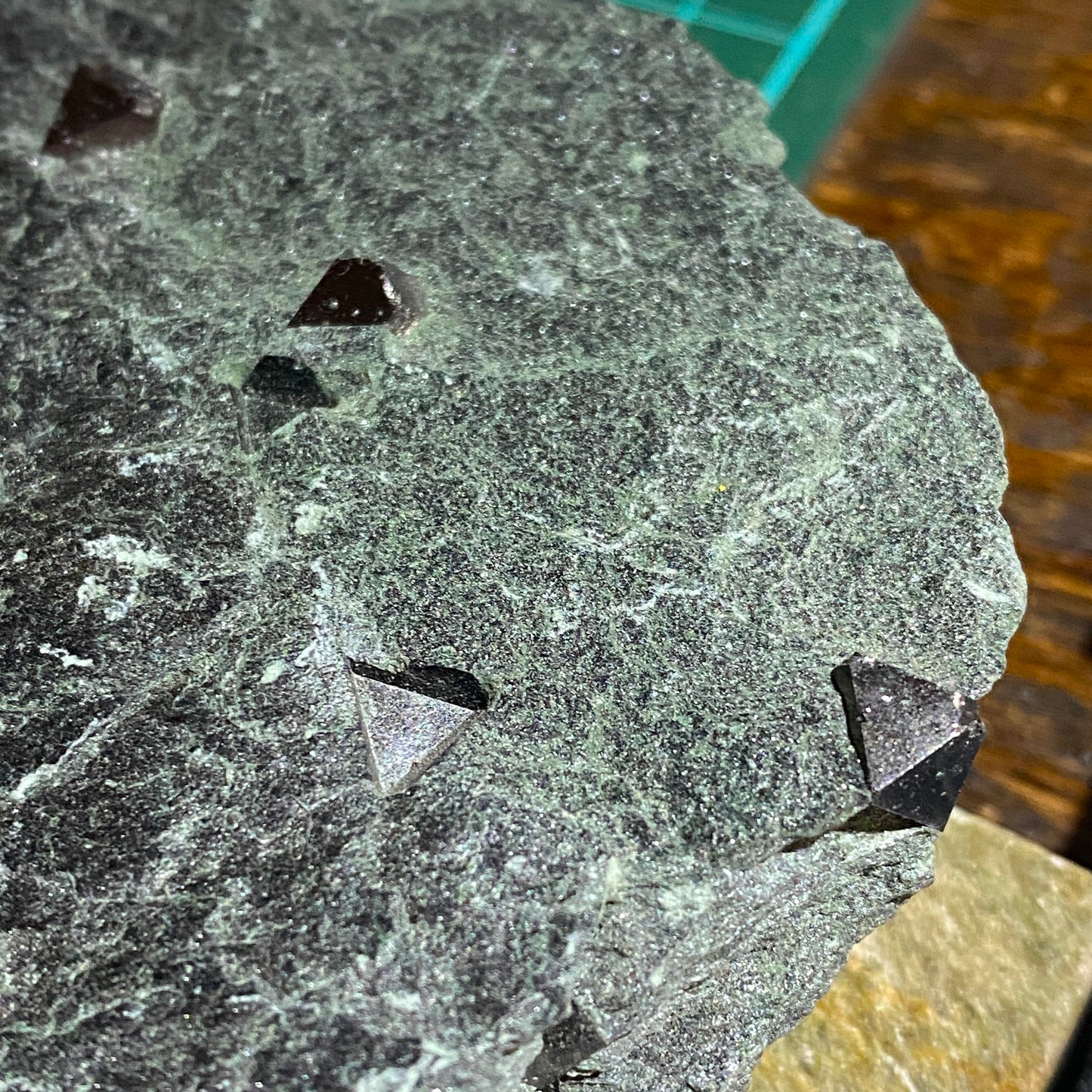 MAGNETITE CRYSTALS IN CHLORITE SCHIST : SOBUTIN, OLOMOUL REGION, CZECH REPUBLIC 302g MF4525